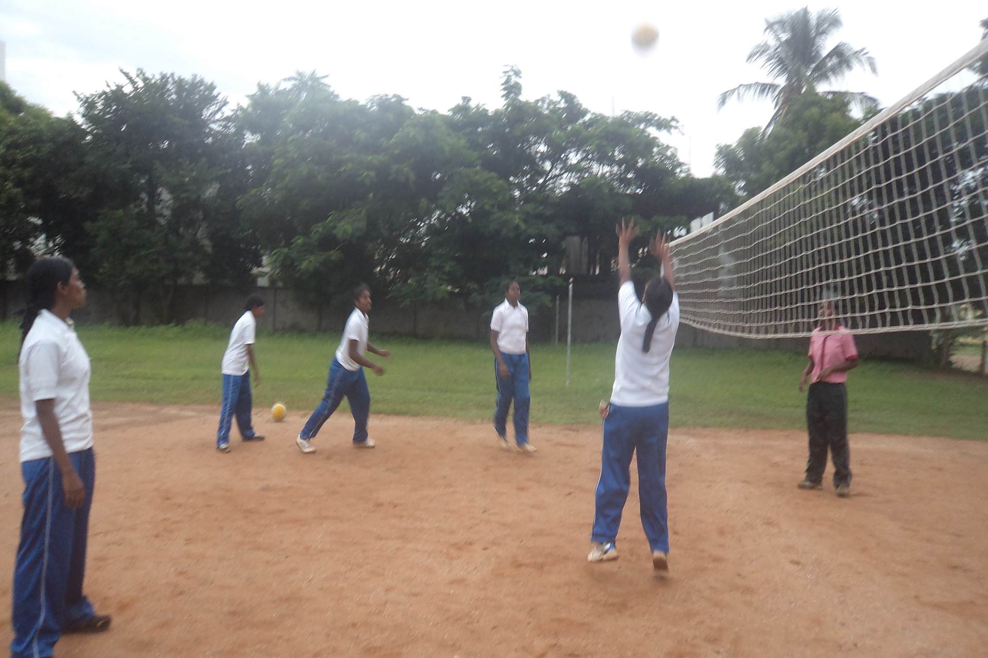 Volleyball Court